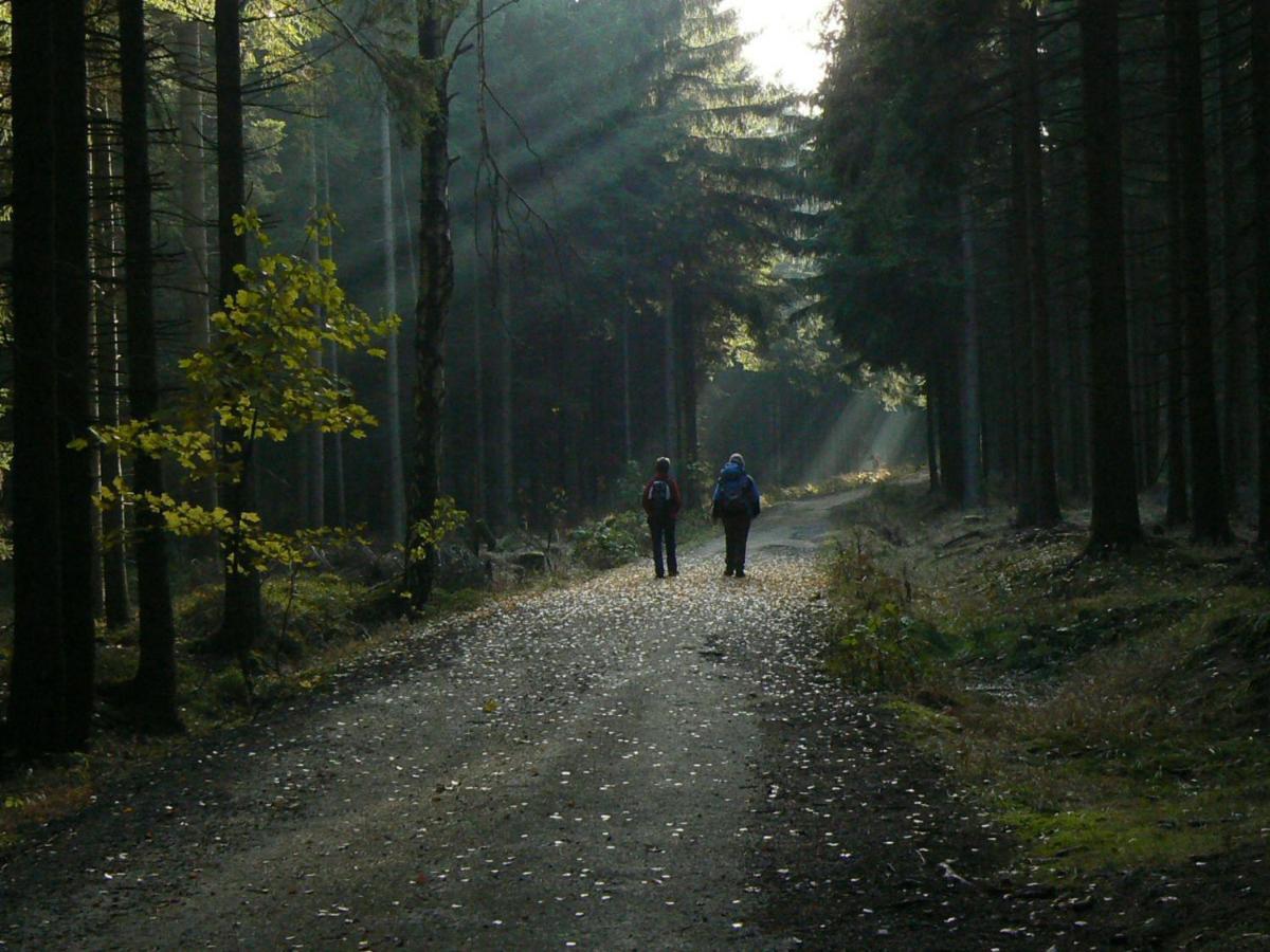 Zimmervermietung-Heide-Fiege Hartmannsdorf bei Chemnitz ภายนอก รูปภาพ